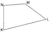 NCERT Solutions for Class 6 Maths Chapter 4 Basic Geometrical Ideas 23